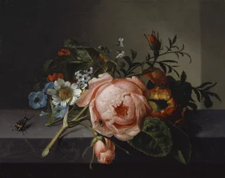 Still Life with Rose Branch, Beetle and Bee