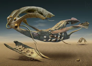 Floating Desert Forms