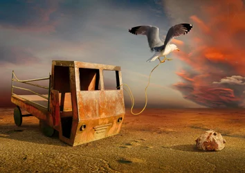 Seagull Pulling Rusty Truck