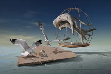 Seagulls Escape Surreal Cage