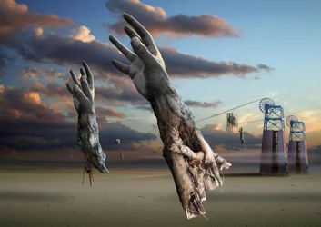 Surreal Desert Hands