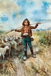 Shepherd portrait