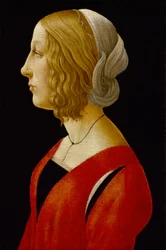 Portrait of a Young Woman - Bust of a Young Woman
