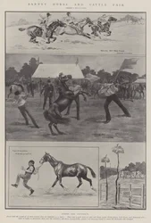 Barnet Horse and Cattle Fair