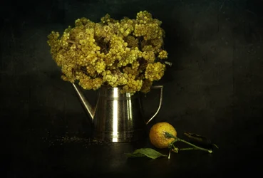 Vintage Floral Still Life