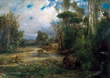 The Pond