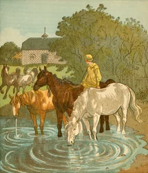 The Farmers Boy watering horses, c1881
