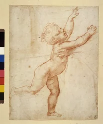 Child Study