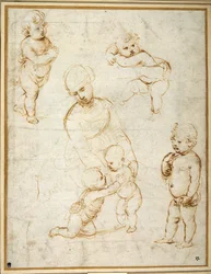 Studies for the 