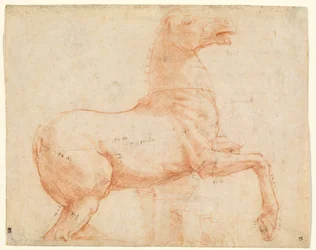 A Marble Horse on the Quirinal Hill