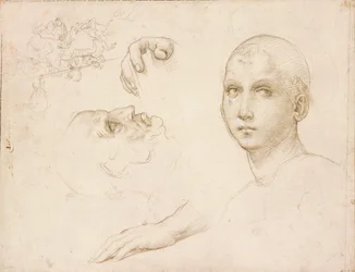 Studies for the Trinity of San Severo