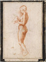 Young Female Figure in Profile