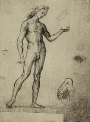 Male Nude Study