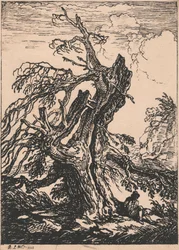 Study of a Tree