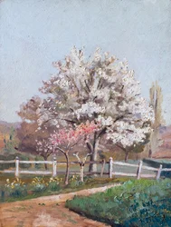Cherry Blossoms, c1930s