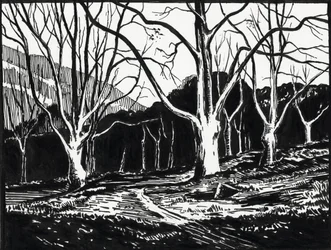 Forest in Winter