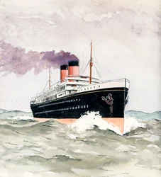 Liner