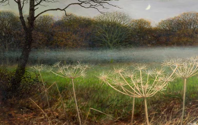 December at dusk: mist over the fields