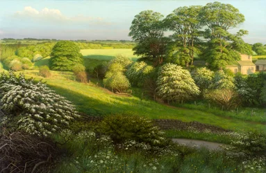 Landscape