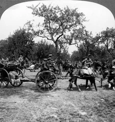Horse-drawn artillery, World War I, 1914-1918