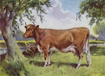Illustration for My Farm