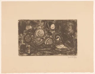 Seven Shells