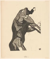 Anatomical study of the side and arm muscles of a man