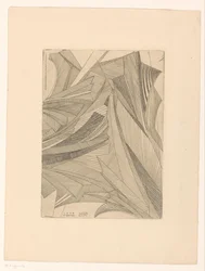 Geometric Patterns of Frost Flowers