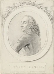 Portrait of Professor Petrus Camper