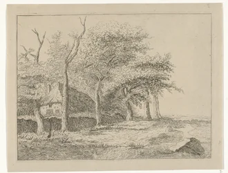 Row of Trees