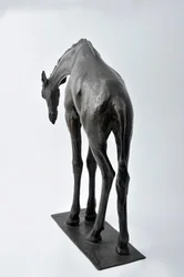 Large Giraffe with Lowered Head