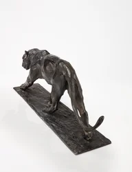 Panther walking, rear leg raised