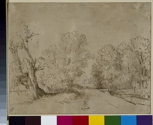 A wooded road, c.1650