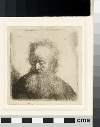 Old Man with a flowing Beard: bust