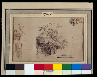 Study of a Tree in Front of a House