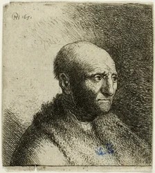 Bald Man in a Fur Cloak: Bust