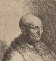 Bald Man in a Fur Cloak