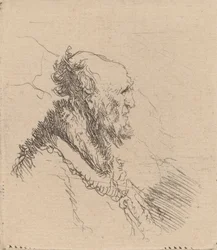 Bald Old Man with a Short Beard in Profile