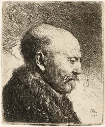 Bald Headed Man in Profile Right: Rembrandt