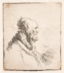 Bald Old Man with a Short Beard, in Profile Right