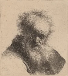 Bust of an Old Man with Flowing Beard and White Sleeve