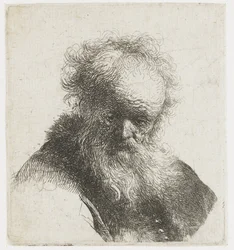 Bust of an Old Man with Flowing Beard and White Sleeve