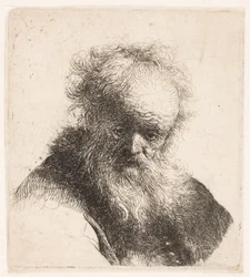 Bust of an Old Man with Flowing Beard and White Sleeve