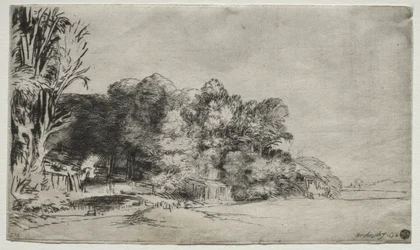 Clump of Trees with a Vista