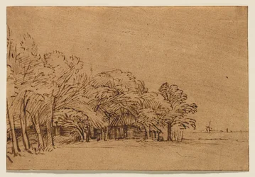 Farm under Trees
