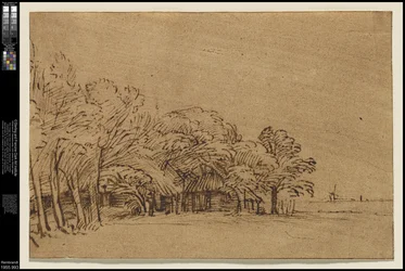 Farm under Trees
