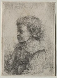 Portrait of a Boy in Profile, 1641