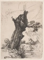 Saint Jerome beside a Pollard Willow