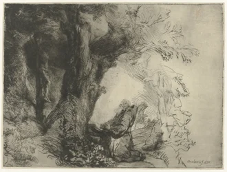 Saint Francis Beneath a Tree, Praying
