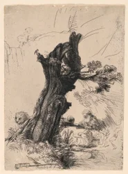Saint Jerome Beside a Pollard Willow